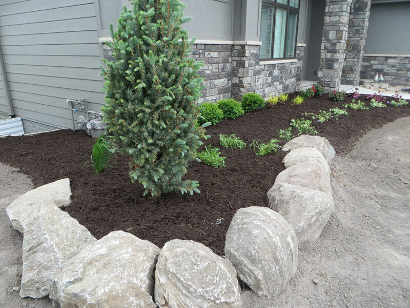 Stones and Tree