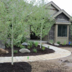 Aspen Clumps & Native Grasses